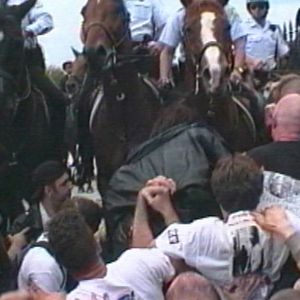 Bilder How to Survive a Plague