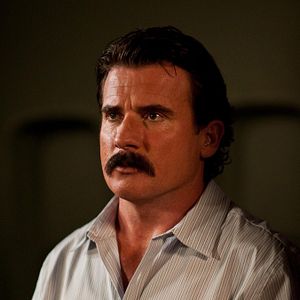 Bilder Dominic Purcell