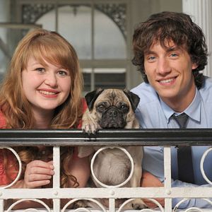 Bilder Molly & Mops: Ein Mops kommt selten allein