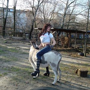 Bilder Klappe Cowboy!