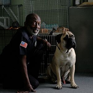 Bilder Chaos auf 4 Pfoten - Sommer mit Hund