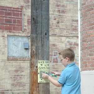 Bilder Chaos auf 4 Pfoten - Sommer mit Hund