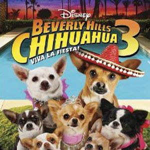 Bilder Beverly Hills Chihuahua 3