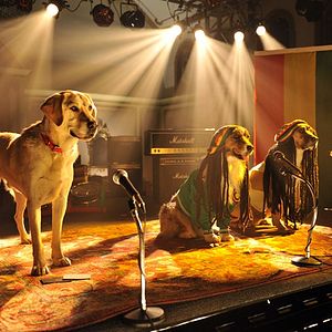 Bilder Beverly Hills Chihuahua 3