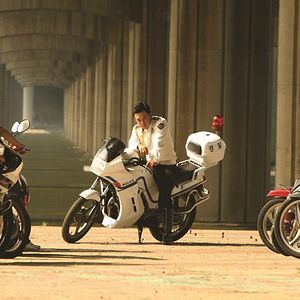 Bilder Adrenaline Rush