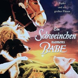 Bilder Ein Schweinchen namens Babe