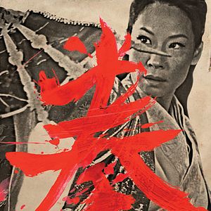 Bilder The Man with the Iron Fists