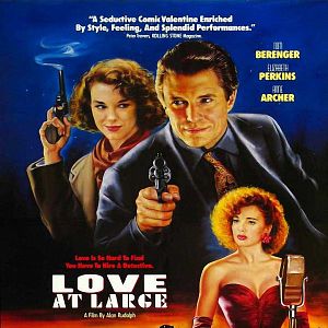 Bilder Die Liebe eines Detektivs