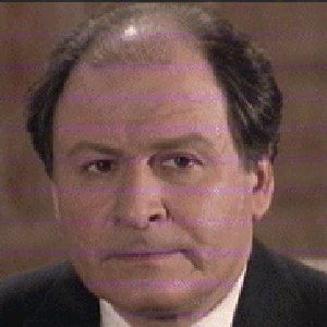 Bilder David Margulies