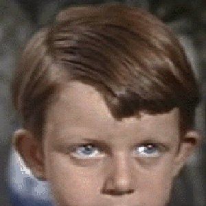 Bilder Matthew Garber