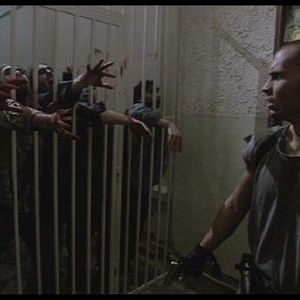 Bilder Apocalypse of the Dead