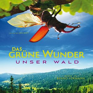 Bilder Das grüne Wunder - Unser Wald