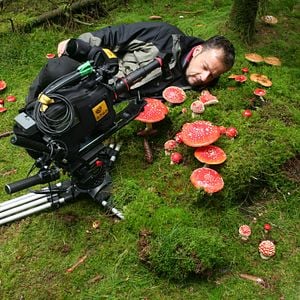 Bilder Das grüne Wunder - Unser Wald