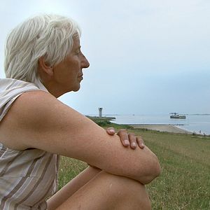 Bilder Das Ding am Deich - Vom Widerstand gegen ein Atomkraftwerk