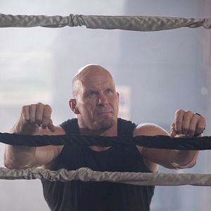 Bilder Knockout - Born to Fight