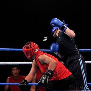 Bilder Knockout - Born to Fight