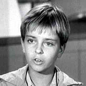 Bilder Tommy Rettig