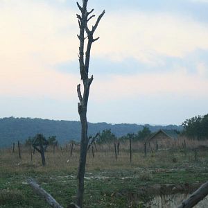 Bilder Çanakkale Çocukları