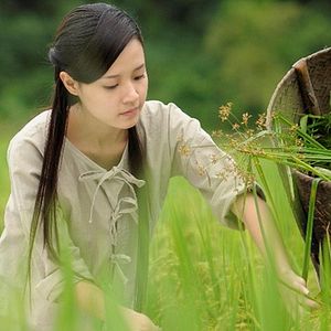 Bilder Blood Letter - Schrift des Blutes