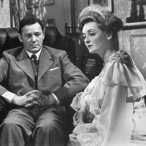 Bilder Die kleinen Füchse