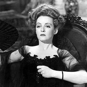 Bilder Die kleinen Füchse