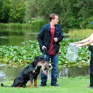 Bilder Mann tut was Mann kann