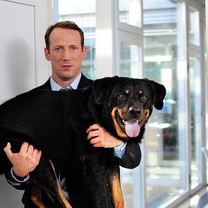 Bilder Mann tut was Mann kann