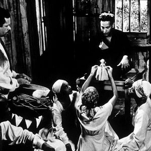 Bilder Ich folgte einem Zombie