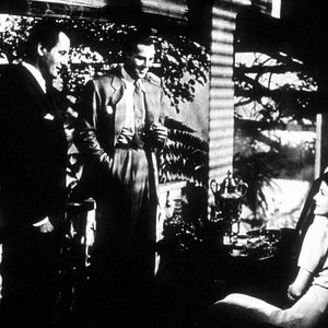 Bilder Ich folgte einem Zombie