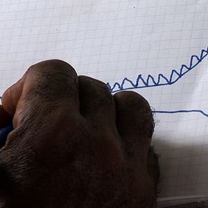 Bilder L'Hypothèse du Mokélé M'Bembé