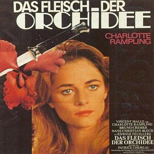 Bilder Das Fleisch der Orchidee