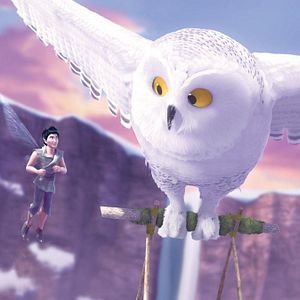 Bilder Das Geheimnis der Feenflügel