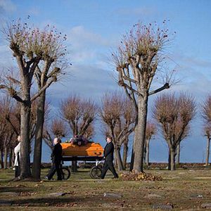 Bilder Bittere Kirschen