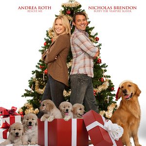 Bilder Eine tierische Bescherung