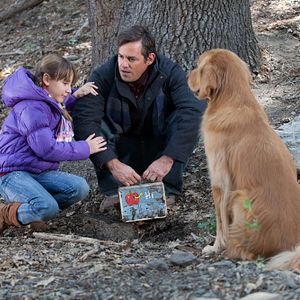 Bilder Eine tierische Bescherung