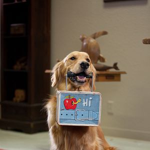 Bilder Eine tierische Bescherung