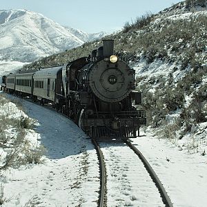 Bilder Einsatz auf vier Pfoten 2