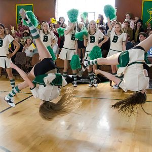 Bilder Einsatz auf vier Pfoten 2