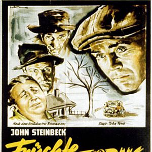 Bilder Früchte des Zorns