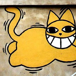 Bilder Chats perchés