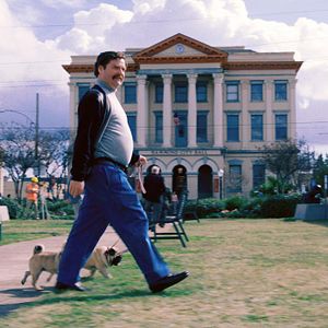 Bilder Die Qual der Wahl