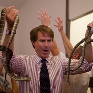 Bilder Die Qual der Wahl