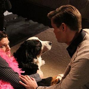 Bilder The New Normal