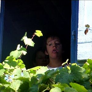 Bilder This Our Still Life