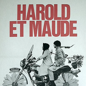 Bilder Harold und Maude