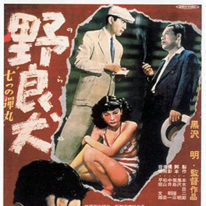 Bilder Ein herrenloser Hund