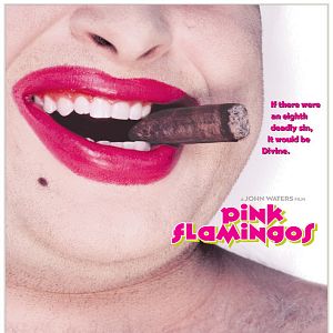 Bilder Pink Flamingos