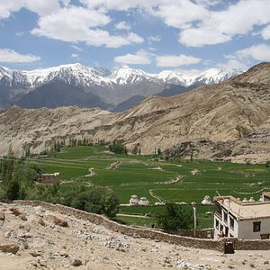 Bilder Die Ökonomie des Glücks