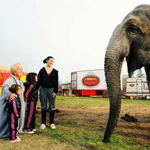 Bilder Joséphine, ange gardien