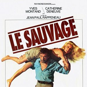 Bilder Die schönen Wilden